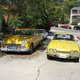 Image for article titled Reliant Scimitar And Friends